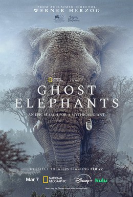 Filmbeeld Ghost Elephants