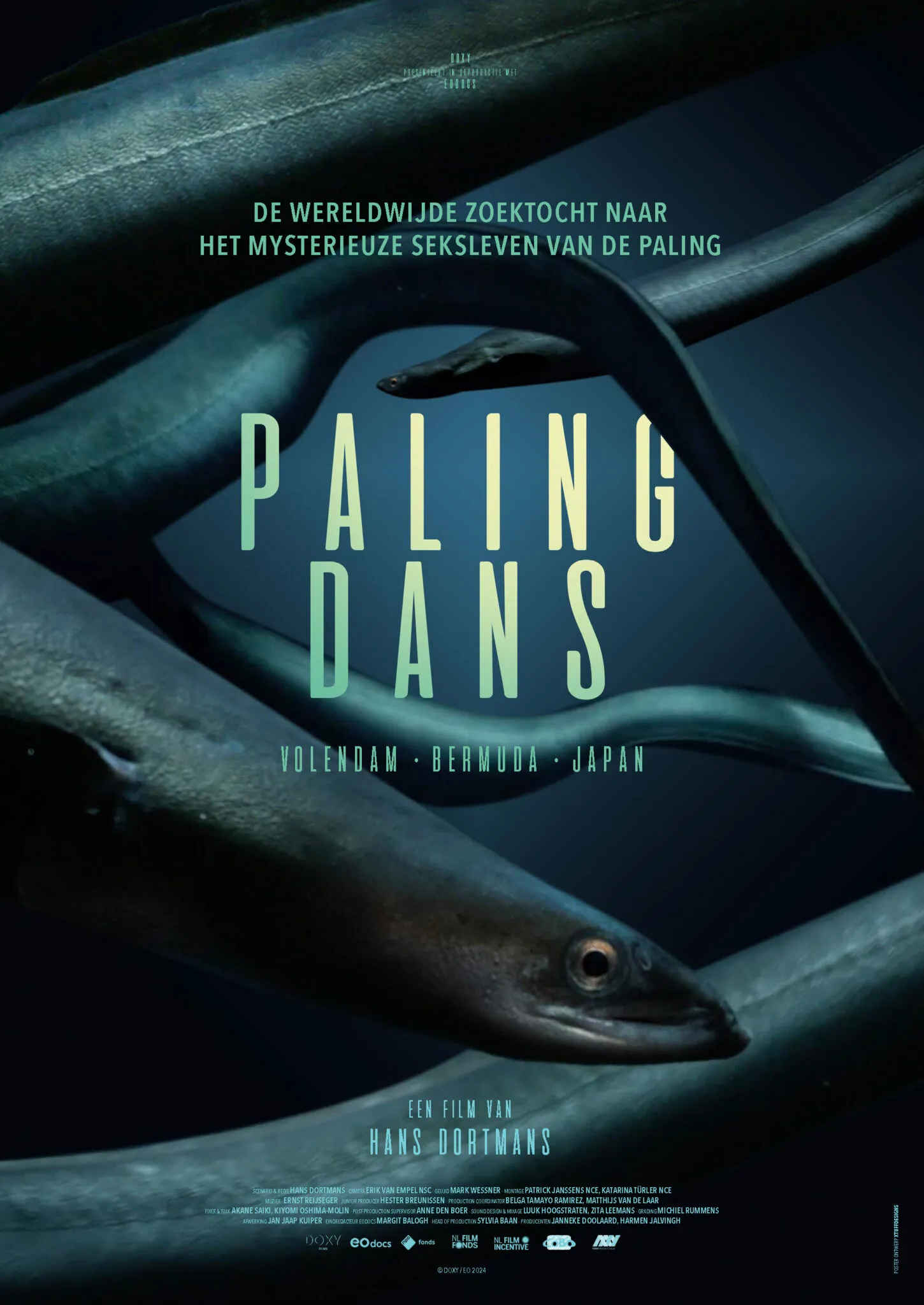 Filmbeeld Palingdans
